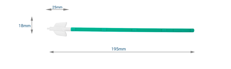 SZCZOTECZKA CYTO ECONOMY TYP 2 WACHLARZ PAKOWANA W WORECZKU MERINGER   OPK. = 100 szt.