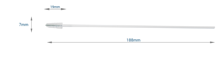SZCZOTECZKA CYTO ECONOMY TYP 1 PROSTA PAKOWANA W WORECZKU MERINGER